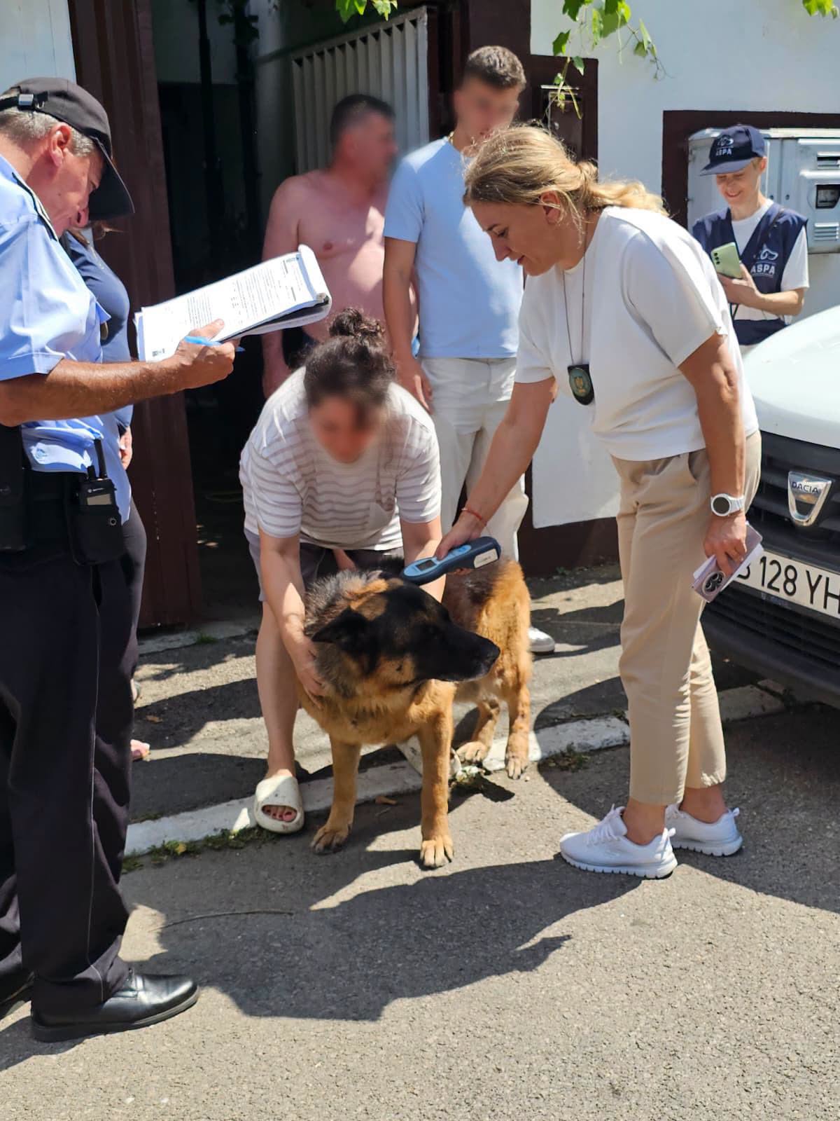 Fiecare cățel este verificat dacă este microcipat