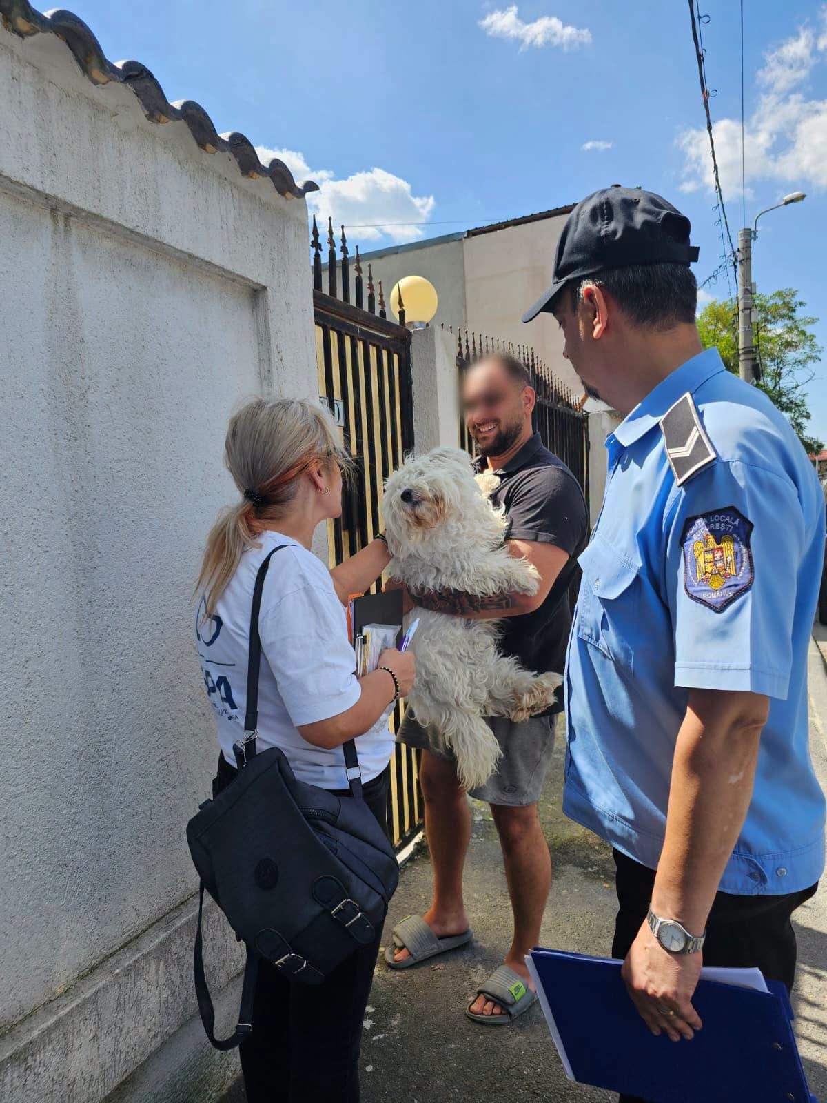 Din poartă-n poartă, pentru sterilizarea și vaccinarea cățeilor 