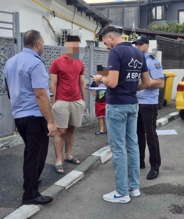 Soluția pentru stoparea înmulțirii necontrolate și abandonului cățeilor de rasă comună? Sterilizarea și microciparea!
