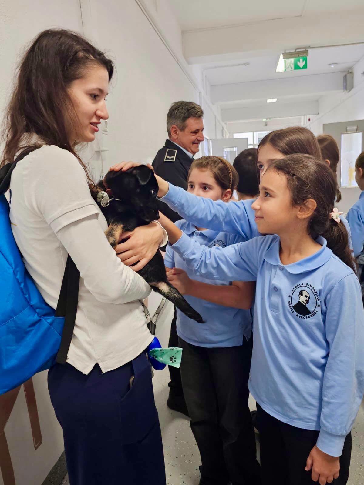Toți cei 26 de elevi ai clasei s-au emoționat la vederea cățelușilor