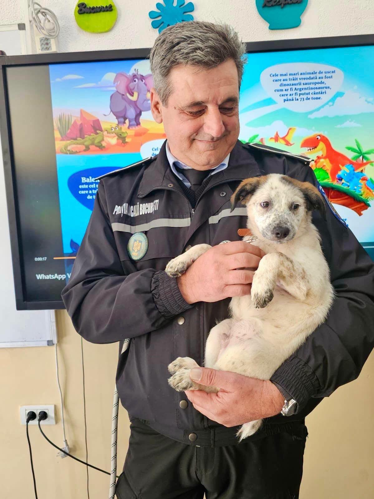 Bruno este unul dintre cei doi căței care a participat la lecția predată de colegii noștri